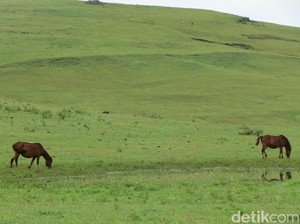 Wisatawan Keluhkan Tarif Mencekik di Fulan Fehan, Disparbud Belu Minta Maaf