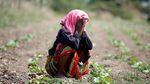 Begini Cara Anak-anak di India Lawan Gelombang Panas