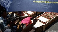 Mereka meminta presiden Jokowi membela mereka terkait sengketa lahan dengan PT Pertiwi Lestari Bumi Kuta Tandingan, yang kini menduduki lahan pertanian mereka.