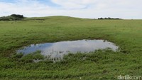 Danau-danau alami bertebaran menyediakan air minum yang tidak kunjung habis. Fulan Fehan malah seperti padang rumput di Inggris atau Australia (Fitraya/detikTravel)
