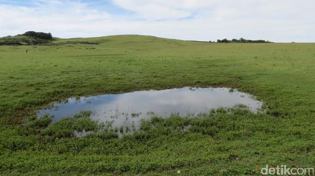 Savana Fulan Fehan yang indah (Fitraya/detikTravel)