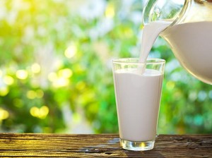 Ada Susu di Revolusi Putih, Sebenarnya Apa Saja Sih Kandungan Susu Sapi?