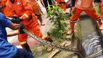 Tugas Unik Petugas Damkar: Lepas Cincin hingga Selamatkan Kucing