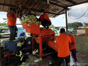 Hemat Anggaran, Pasar Induk Osowilangun Kelola Sampah Mandiri