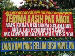 Banjir Bunga Ahok-Djarot, Pengantar 50 Kali Bolak-balik Balai Kota