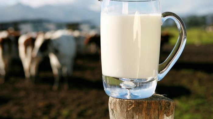 Foto: iStock Foto: iStock