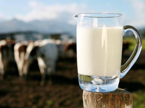 Susu Kambing untuk Kecantikan, Amankah Digunakan?