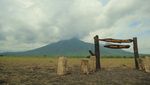 Tak Ada Wisatawan, Satwa di Baluran Santuy Jalan-Jalan