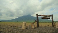 Salah satu spot di taman Nasional Baluran dengan view menawan.  (Aldi Sanjaya Putra/dTraveler)