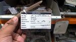 Fosil Gajah Purba Sampai Kerang Raksasa Ada di Gudang Ini
