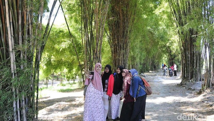 Hutan bambu Sagano Jepang cukup di eks TPA Keputih Surabaya