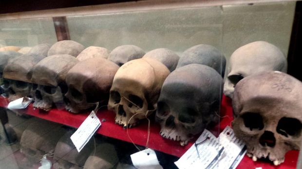 Tengkorak Homo sapiens (Wahyu/detikTravel)