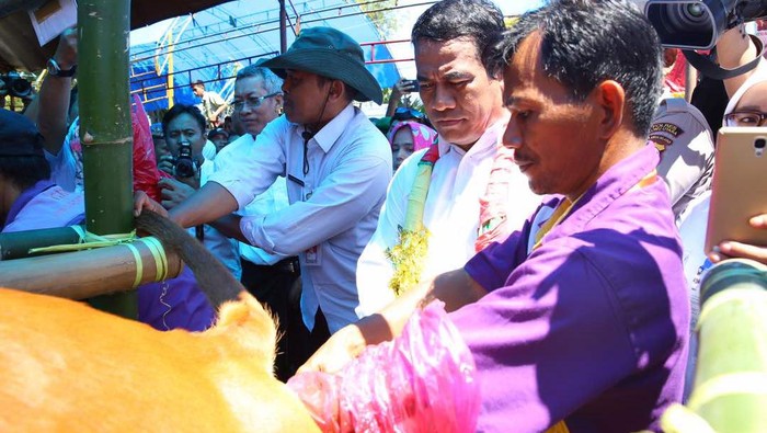 Jurus Mentan Tingkatkan Produksi Ternak