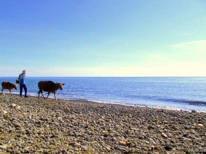 Keindahan Pantai Amed dan Lokasi Diving Favorit