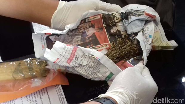 Serba-serbi Ganja, Narkotika yang Membuat TOP Big Bang Didepak dari Wamil