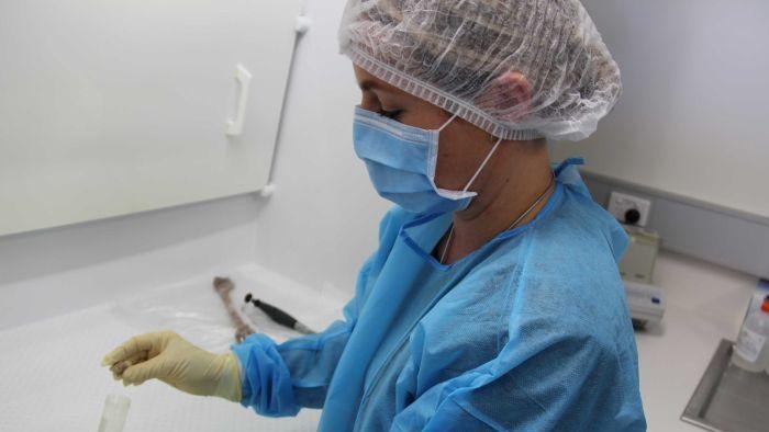 Uji DNA Bantu Ungkap Identitas Tentara Australia yang Hilang Saat PD I