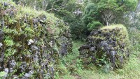 Setelah benteng lapis kedua, di dalamnya adalah hutan cukup lebat dengan jalan setapak berkelak-kelok, naik turun seperti labirin (Fitraya/detikTravel)