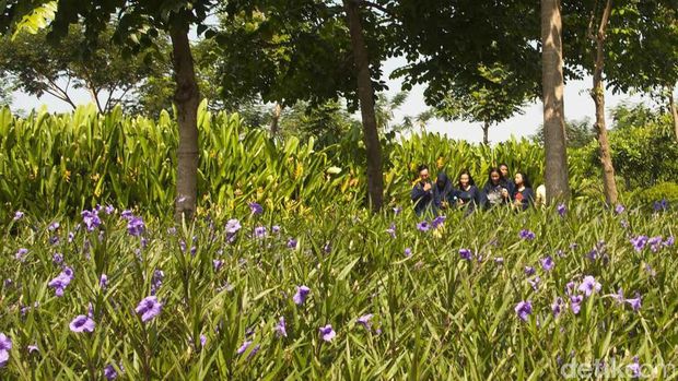 Hutan bambu Sagano Jepang cukup di eks TPA Keputih Surabaya