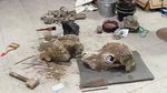 Fosil Gajah Purba Sampai Kerang Raksasa Ada di Gudang Ini