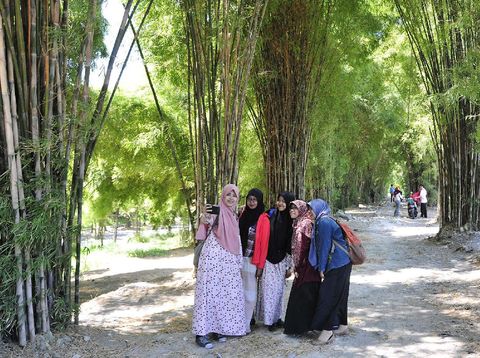 Hutan Bambu Keputih di Surabaya