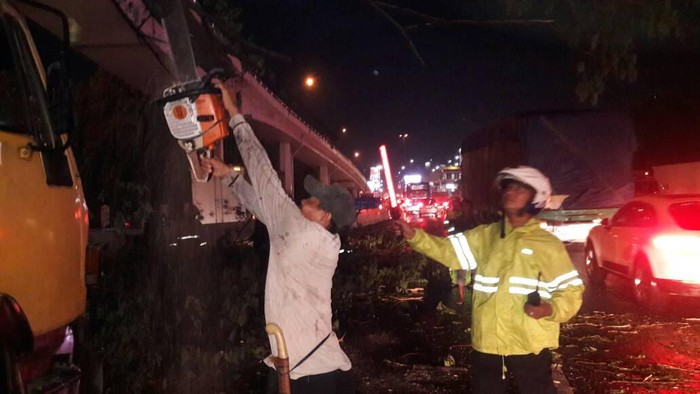 Truk Kontainer Tertimpa Pohon di Tomang, Lalin Macet