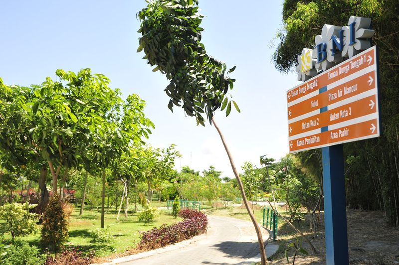 Hutan Bambu Keputih di Surabaya