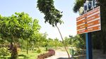 Bukan Jepang, Hutan Bambu Ini Asli Surabaya Rek!