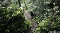 Setelah benteng lapis kedua, di dalamnya adalah hutan cukup lebat dengan jalan setapak berkelak-kelok, naik turun seperti labirin. Tidak jelas mana lapis ketiga sampai keenam, tahu-tahu kami sampai di lapisan ketujuh atau lapisan inti benteng ini.