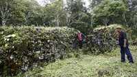 Benteng ini dindingnya adalah tumpukan batu karang dari sekitar gunung. Hanya ada celah cukup lebar untuk orang masuk. Di dalamnya sudah ada dinding lapis kedua.