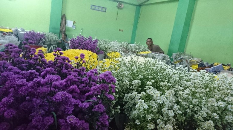 Semua bunga komersil dari dalam dan luar negeri ada di Pasar Bunga Rawa Belong (Ahmad Masaul Khoiri/detikTravel) Semua bunga komersil dari dalam dan luar negeri ada di Pasar Bunga Rawa Belong (Ahmad Masaul Khoiri/detikTravel)