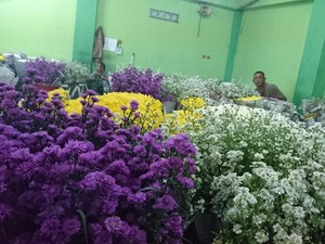 Warna-warni Bunga Bagi Kesayangan dari Pasar Rawa Belong
