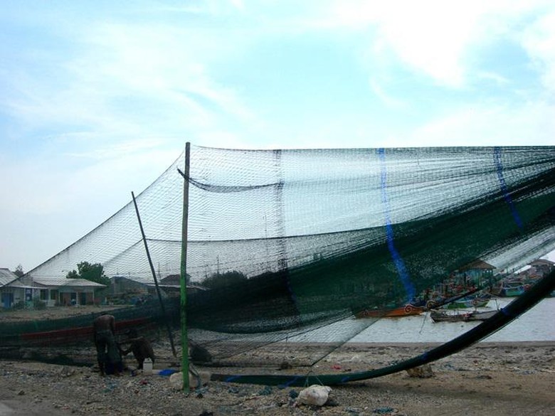 Mengenal Cantrang, Penangkap Ikan yang Bikin Susi Dipanggil Jokowi Mengenal Cantrang, Penangkap Ikan yang Bikin Susi Dipanggil Jokowi