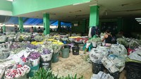 Sekilas, pasar ini tak terlalu mencolok dari jalanan. Meski demikian, lihatlah ke dalamnya, traveler pasti terbelalak dengan warna-warni bunga berbagai jenis itu (Masaul/detikTravel)