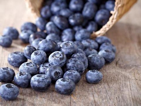 blueberry buah paling sehat