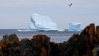 Begini penampakan gunung es yang terapung di pesisir pantai Ferryland di Kanada, Rabu (26/4/2017). Drew Angerer/Getty Images.