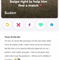 Suka Main Tinder? Siap-siap Ketemu Badak Putih Ini yang Sedang Cari Jodoh