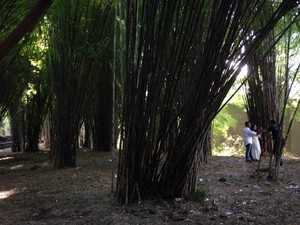 Pulang Kampung ke Surabaya, Main ke Sini Rek!