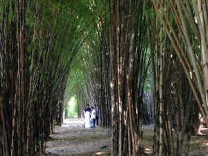 6 Rekomendasi Taman Estetik di Surabaya, Gratis!