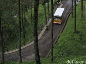 Referensi Liburan Long Weekend: Dago Dream Park Bandung