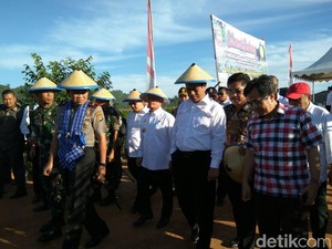 Mentan Tinjau Produksi Jagung Hingga Kakao di Mamuju
