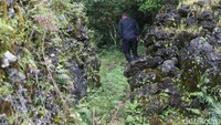 Lumut pada batu-batu dinding benteng begitu tebalnya, pertanda tempat ini jarang dijamah manusia.