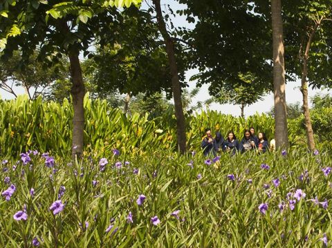 Hutan Bambu Keputih di Surabaya