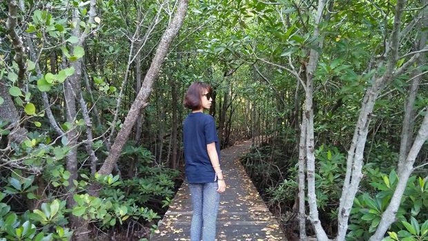 Jalur treking yang instagenic (Bonauli/detikTravel)
