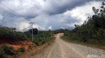 Jalan Perbatasan Belah Hutan Kalbar