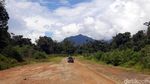 Jalan Perbatasan Belah Hutan Kalbar