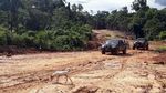Jalan Perbatasan Belah Hutan Kalbar