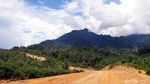 Jalan Perbatasan Belah Hutan Kalbar