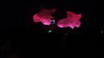 Begini Pecahnya Konser DJ Marshmello Pagi Tadi