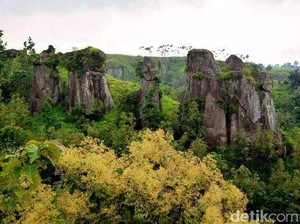 Ada Stonehenge Misterius dari Bondowoso!