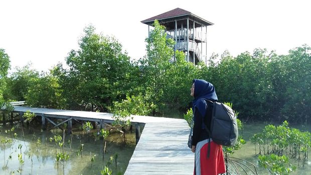 Ujung treking (Bonauli/detikTravel)